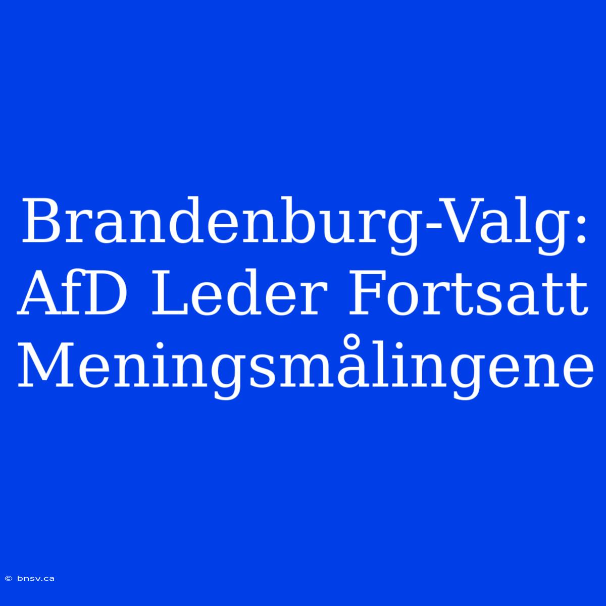 Brandenburg-Valg: AfD Leder Fortsatt Meningsmålingene