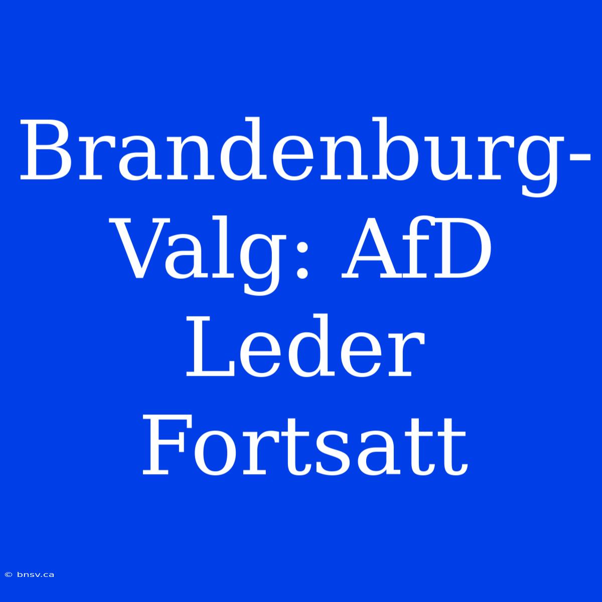 Brandenburg-Valg: AfD Leder Fortsatt