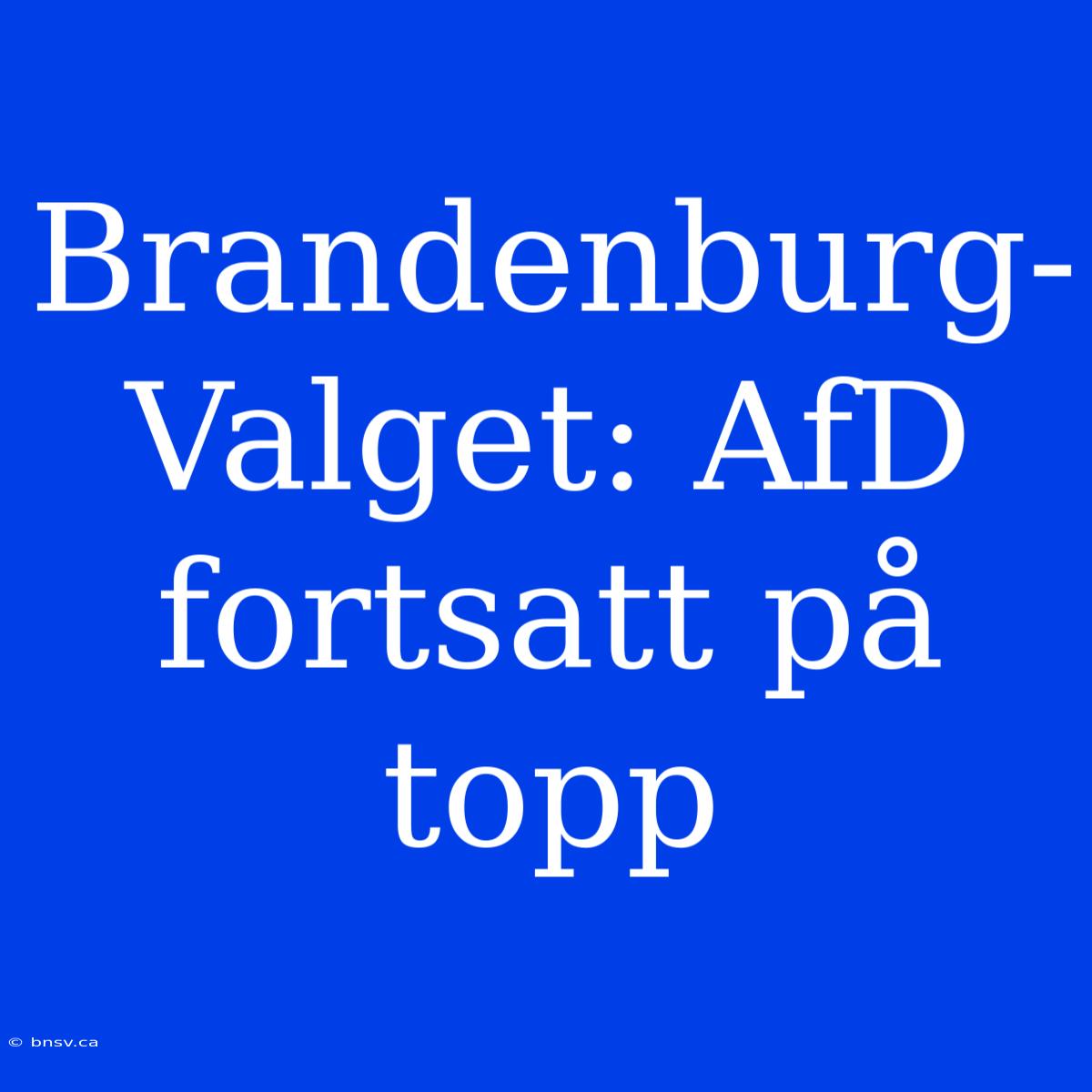 Brandenburg-Valget: AfD Fortsatt På Topp