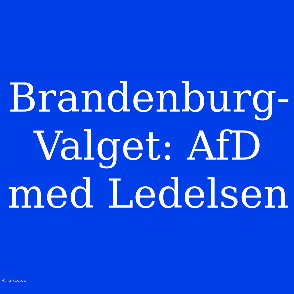 Brandenburg-Valget: AfD Med Ledelsen