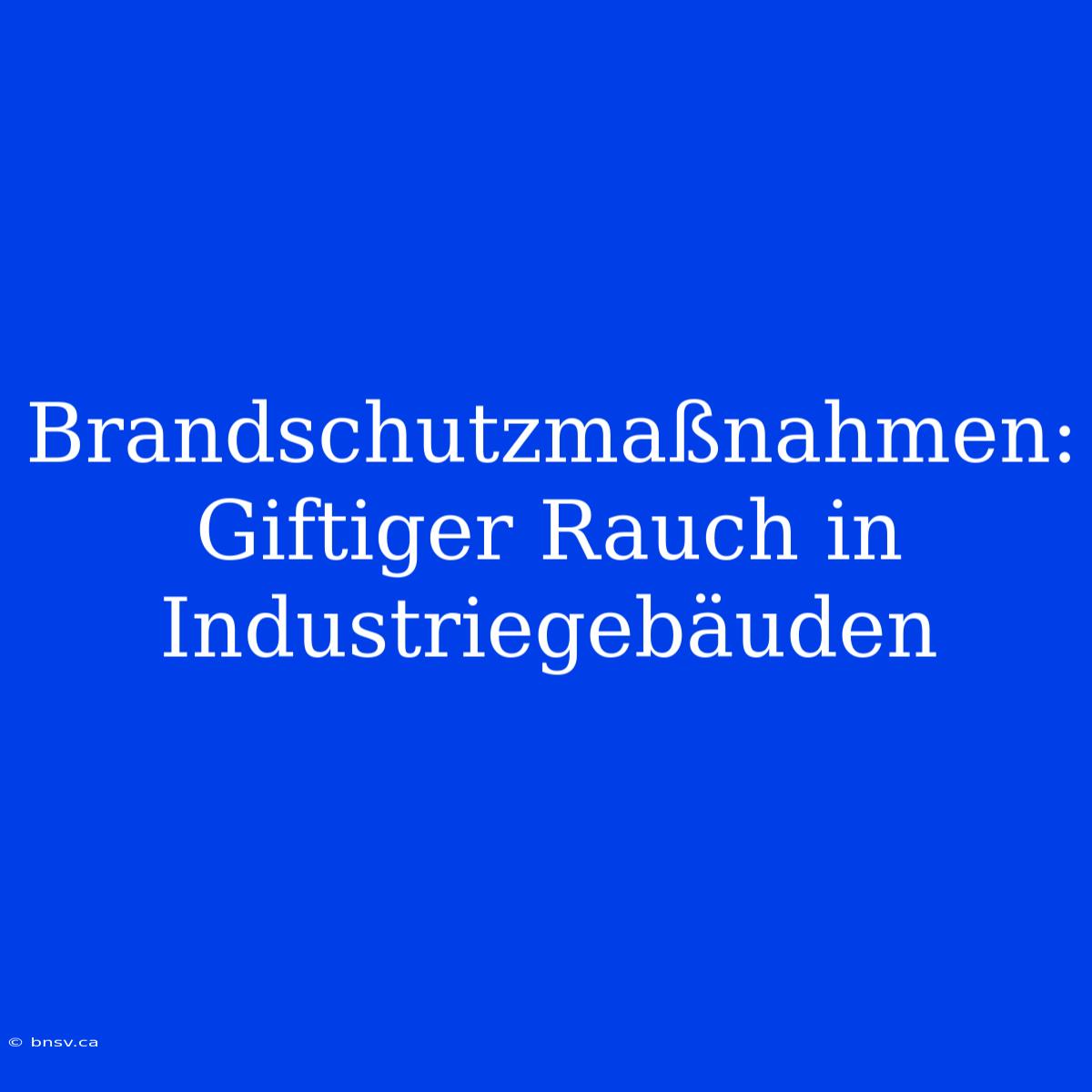 Brandschutzmaßnahmen: Giftiger Rauch In Industriegebäuden