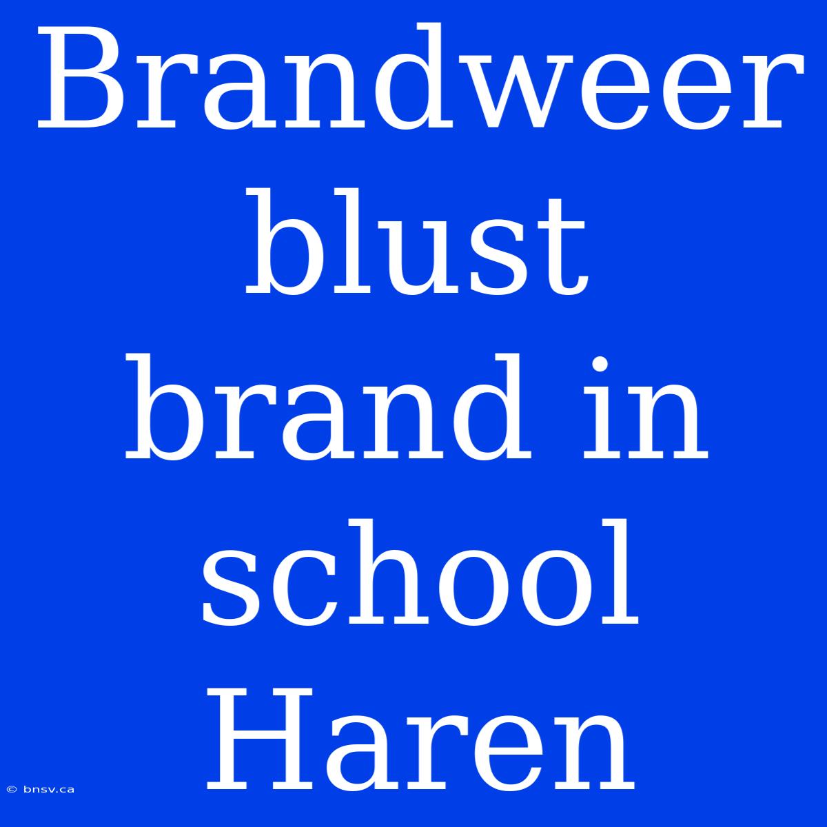 Brandweer Blust Brand In School Haren