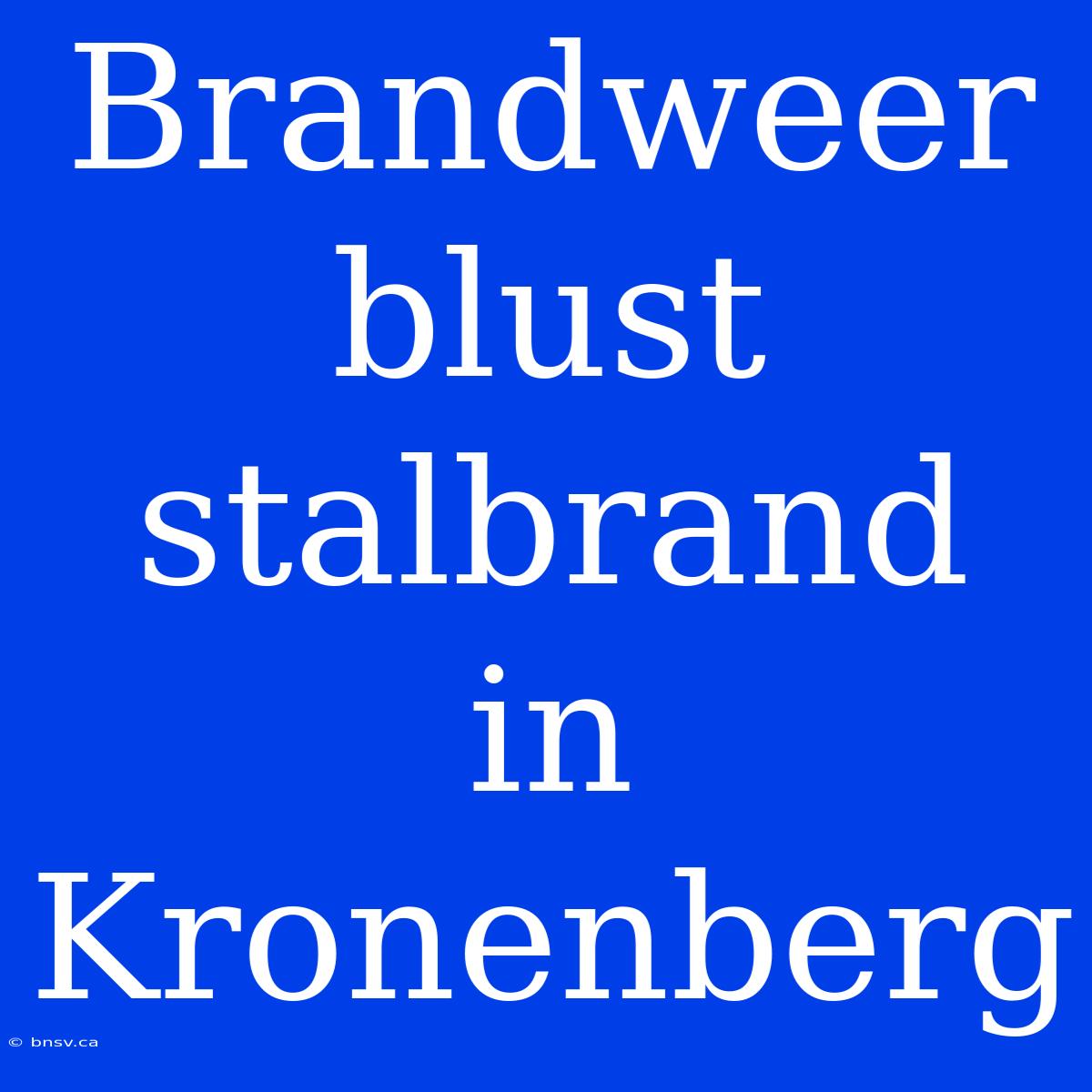 Brandweer Blust Stalbrand In Kronenberg