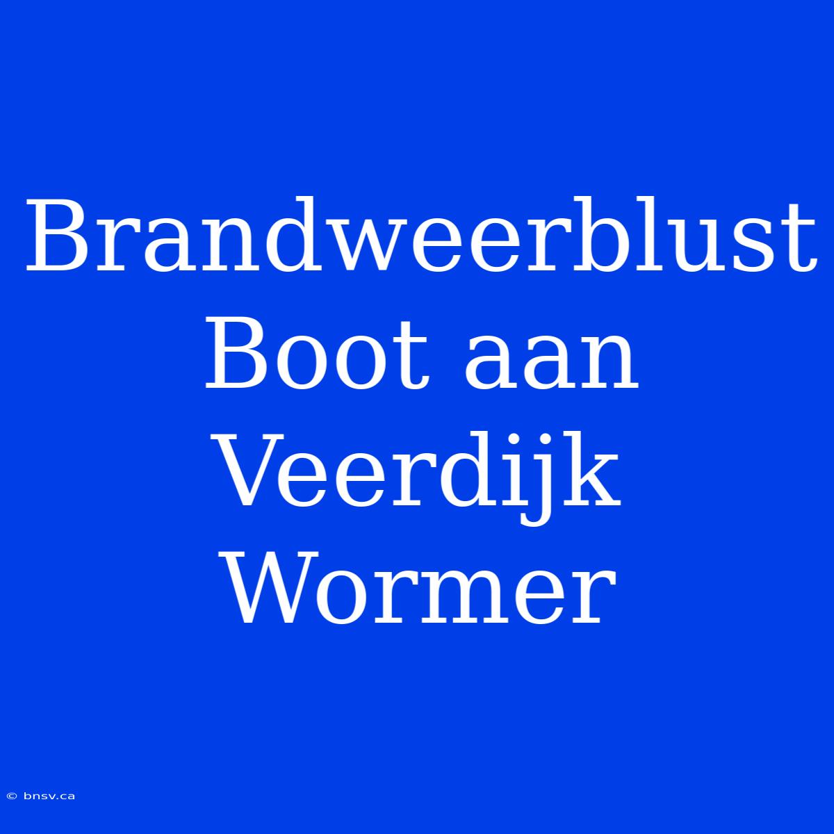 Brandweerblust Boot Aan Veerdijk Wormer