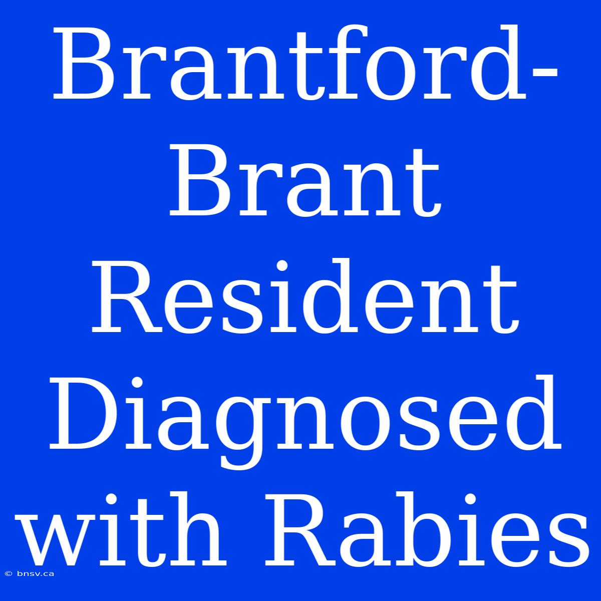 Brantford-Brant Resident Diagnosed With Rabies