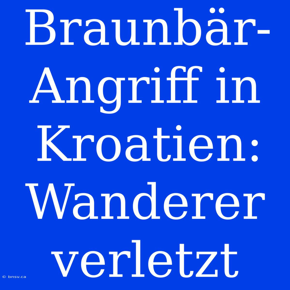 Braunbär-Angriff In Kroatien: Wanderer Verletzt