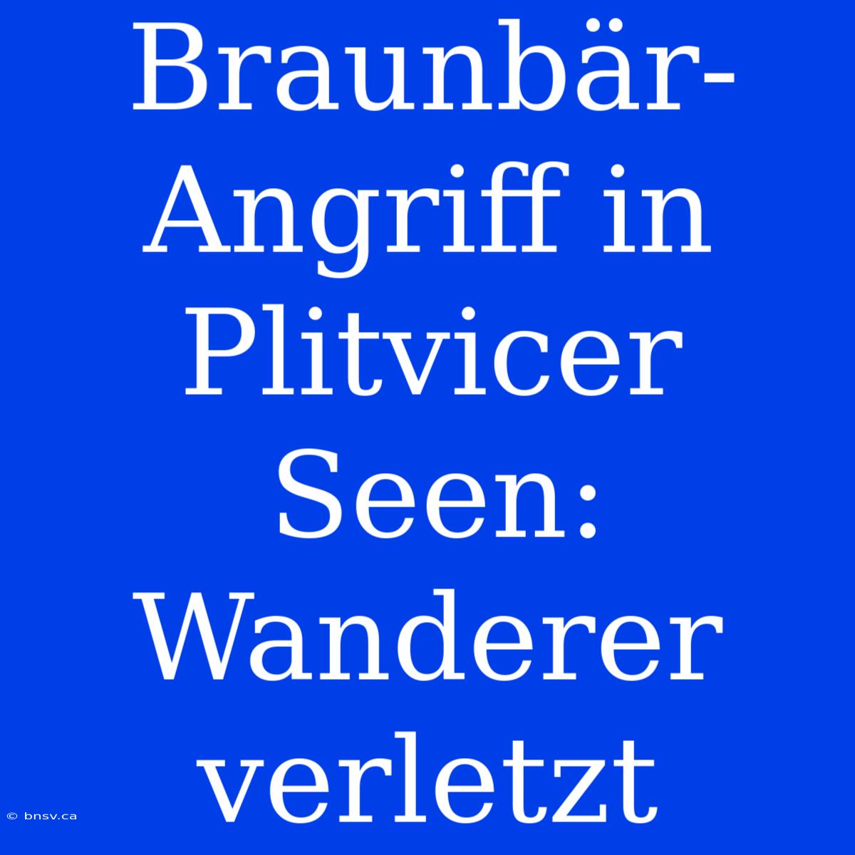 Braunbär-Angriff In Plitvicer Seen: Wanderer Verletzt