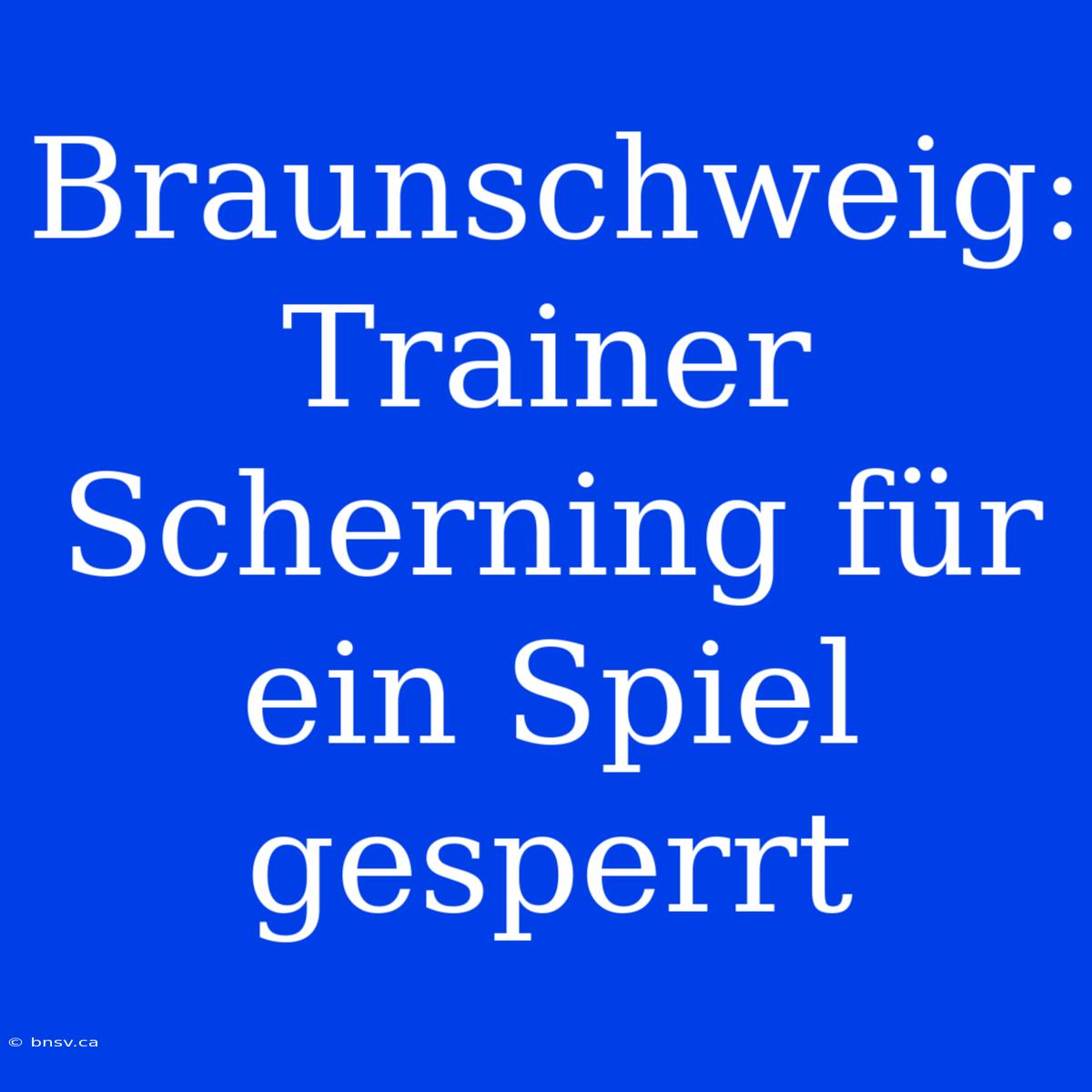 Braunschweig: Trainer Scherning Für Ein Spiel Gesperrt