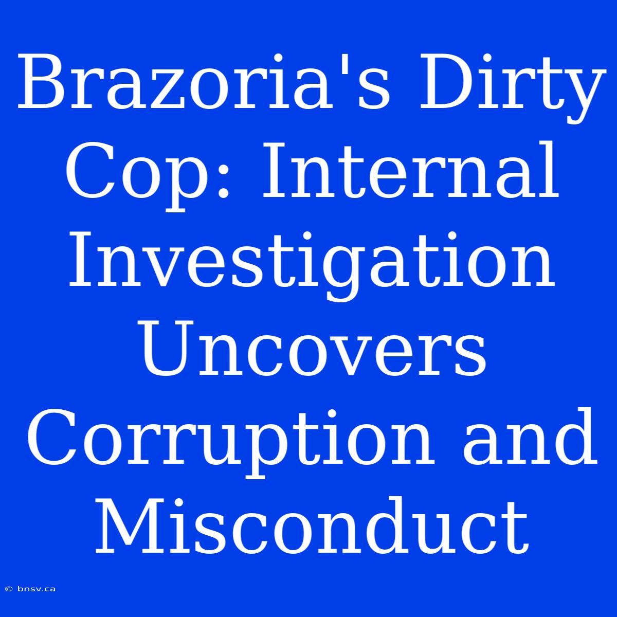 Brazoria's Dirty Cop: Internal Investigation Uncovers Corruption And Misconduct