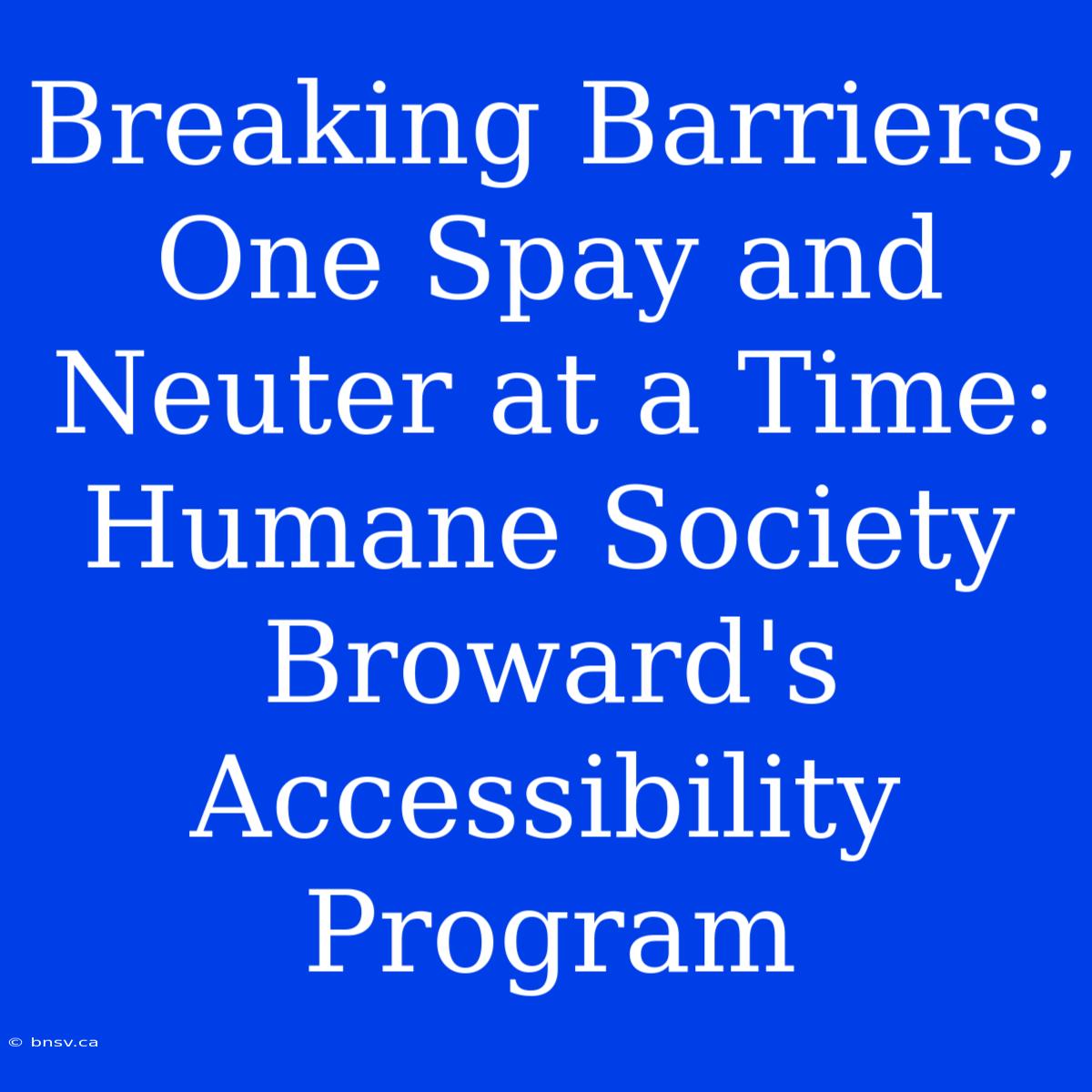 Breaking Barriers, One Spay And Neuter At A Time: Humane Society Broward's Accessibility Program