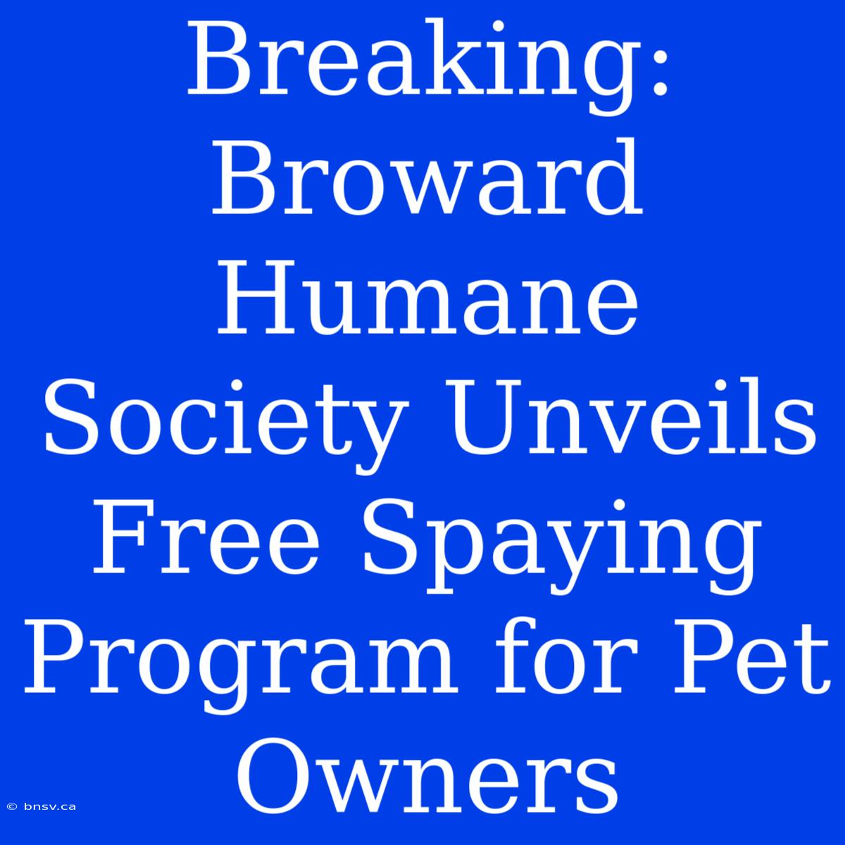 Breaking: Broward Humane Society Unveils Free Spaying Program For Pet Owners