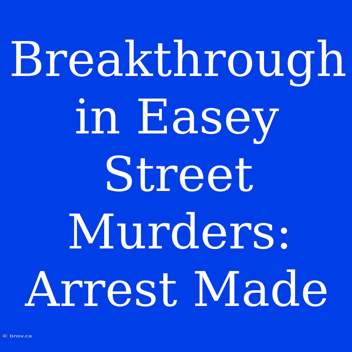 Breakthrough In Easey Street Murders: Arrest Made