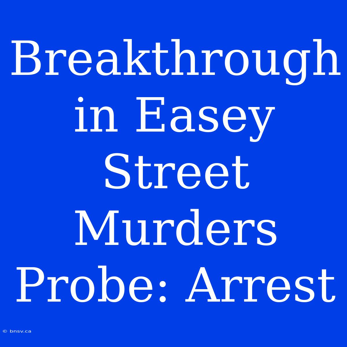 Breakthrough In Easey Street Murders Probe: Arrest