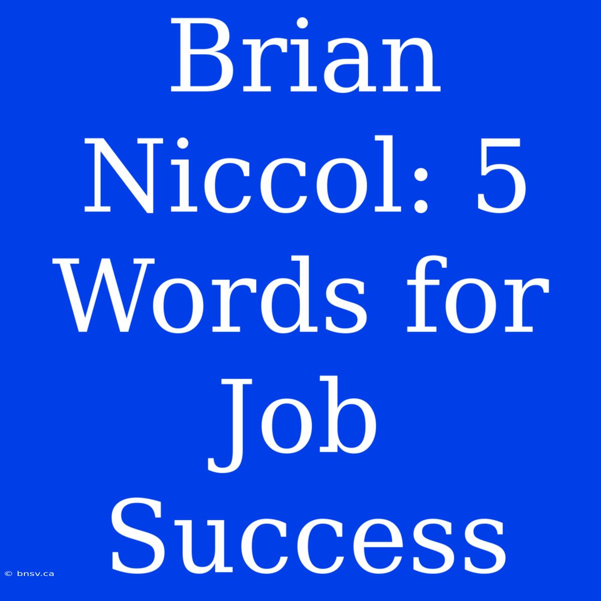 Brian Niccol: 5 Words For Job Success