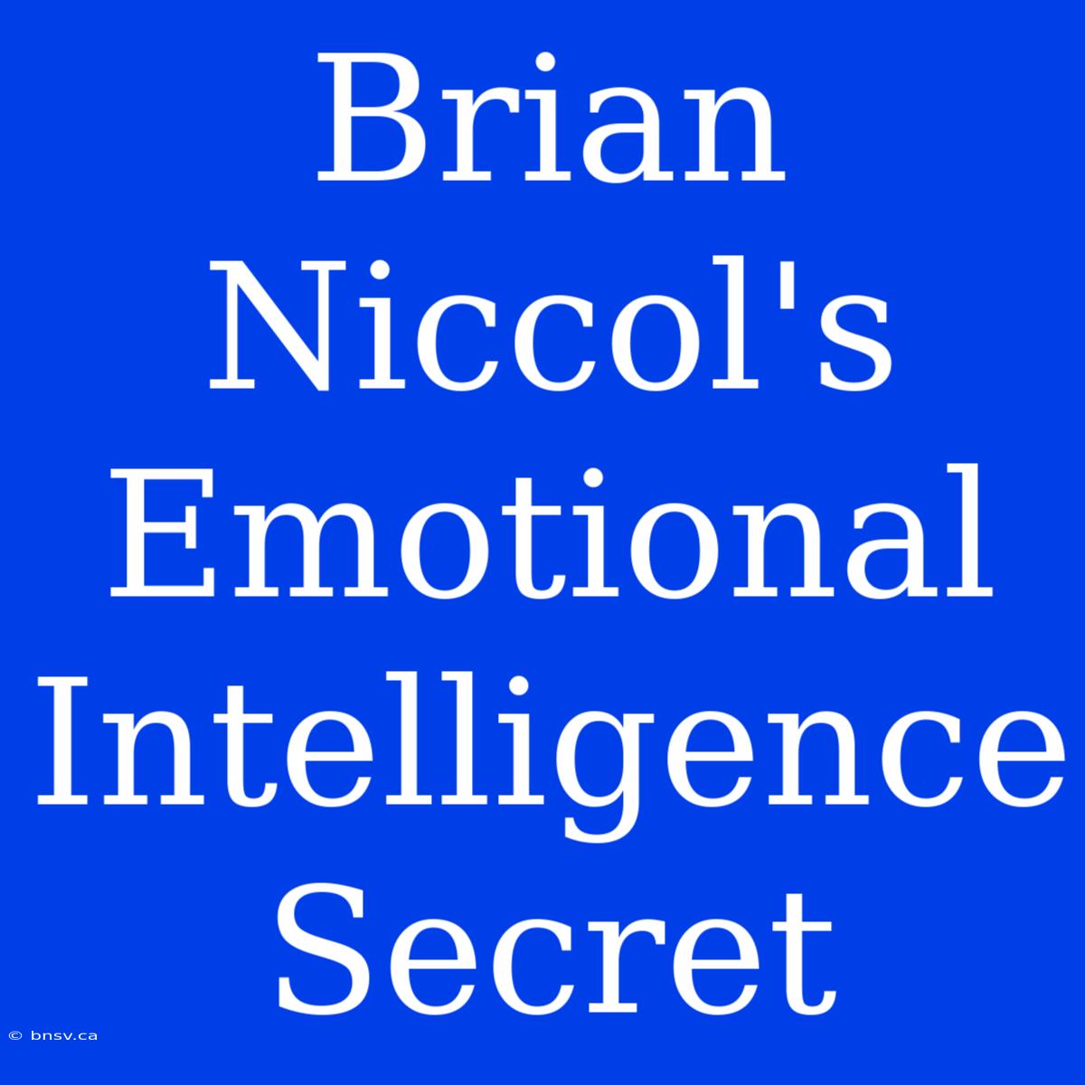 Brian Niccol's Emotional Intelligence Secret