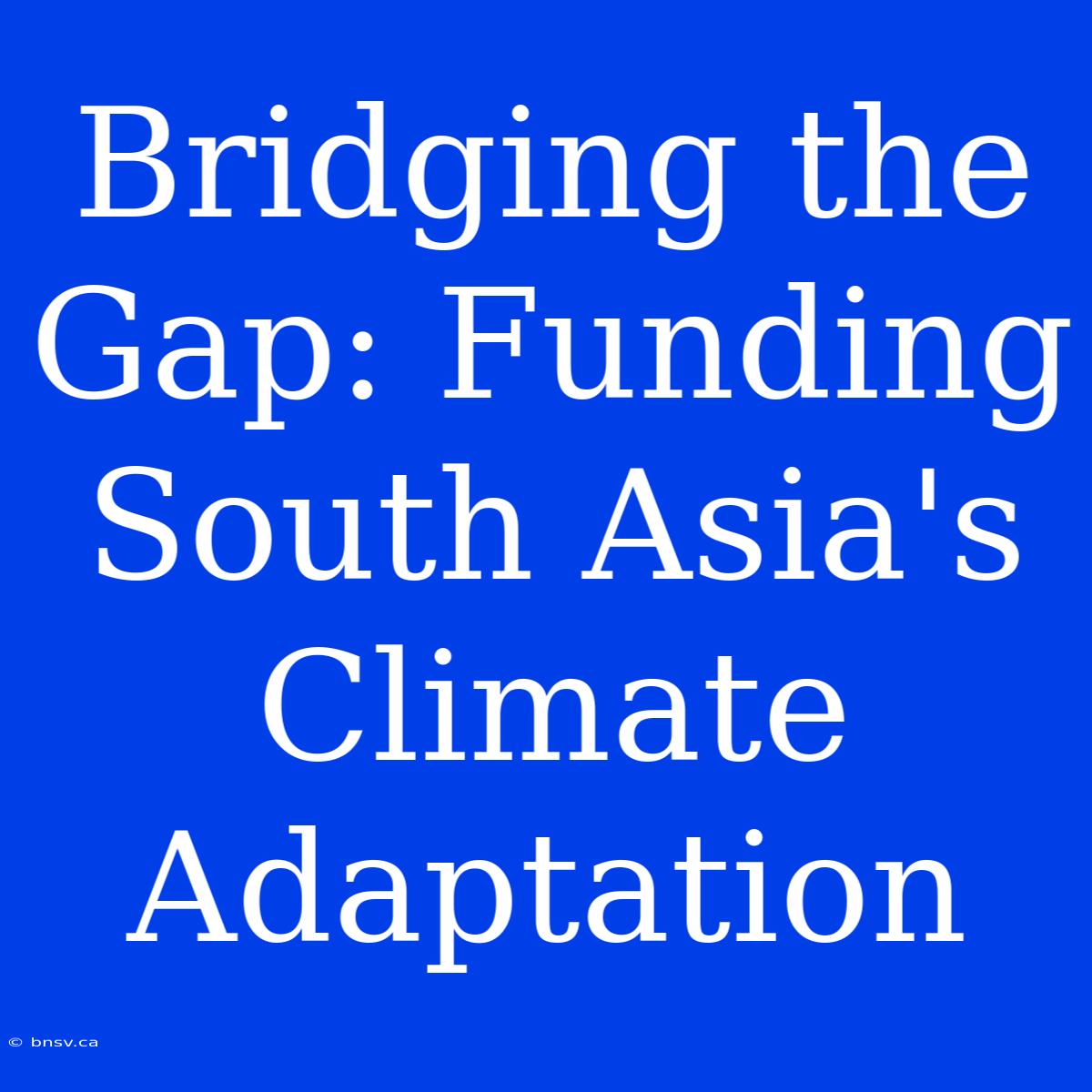 Bridging The Gap: Funding South Asia's Climate Adaptation