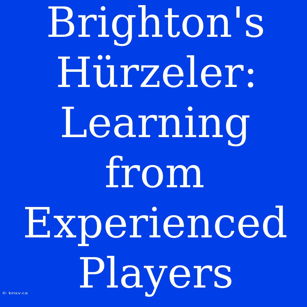 Brighton's Hürzeler: Learning From Experienced Players