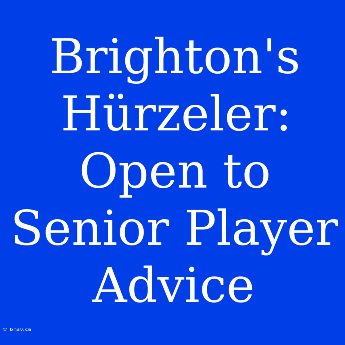 Brighton's Hürzeler: Open To Senior Player Advice