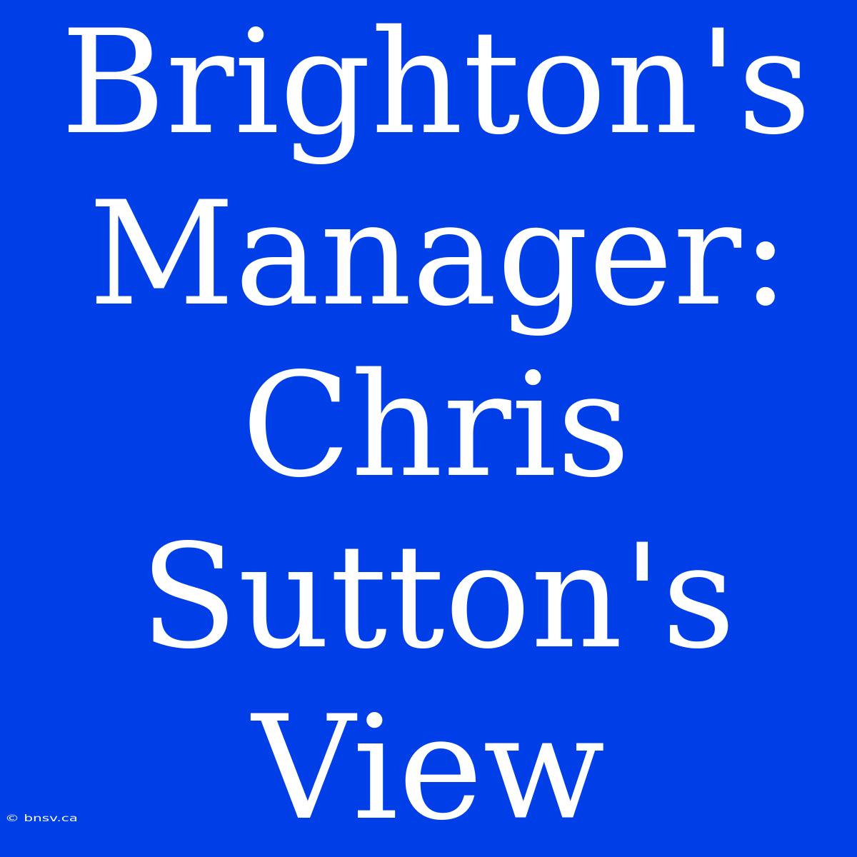 Brighton's Manager: Chris Sutton's View