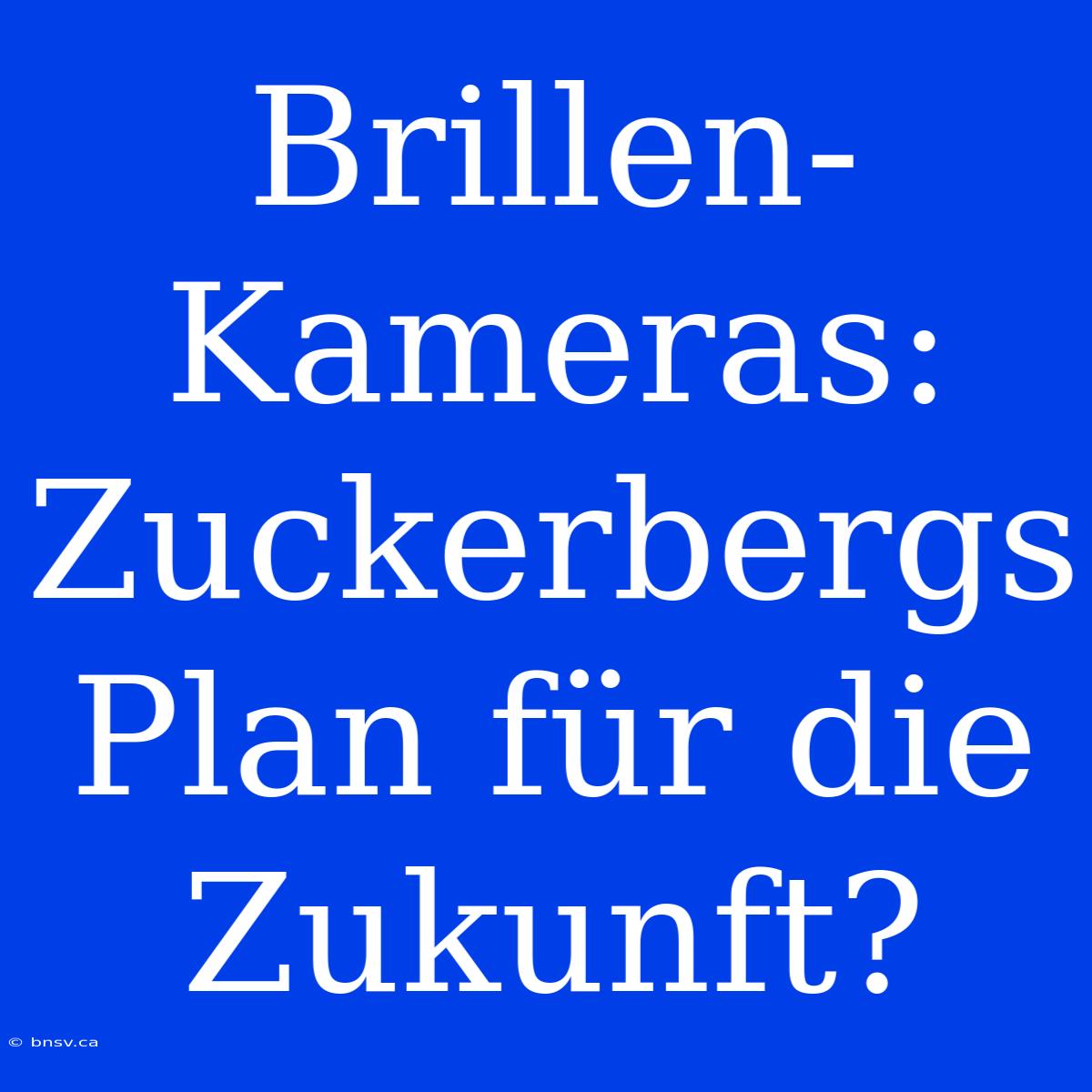 Brillen-Kameras: Zuckerbergs Plan Für Die Zukunft?