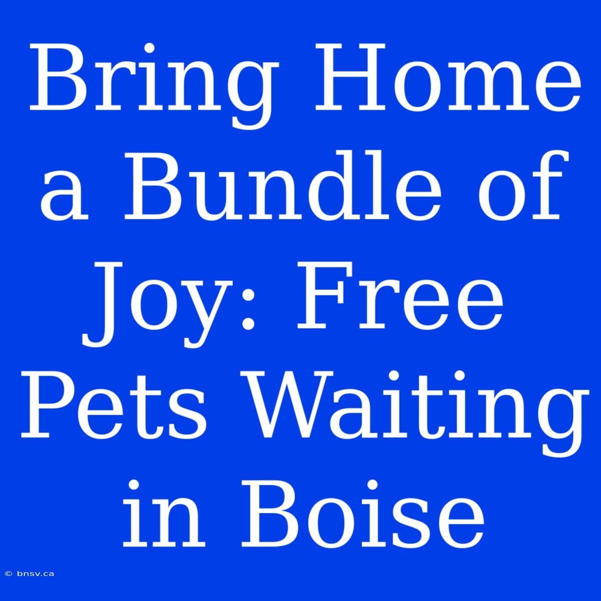 Bring Home A Bundle Of Joy: Free Pets Waiting In Boise