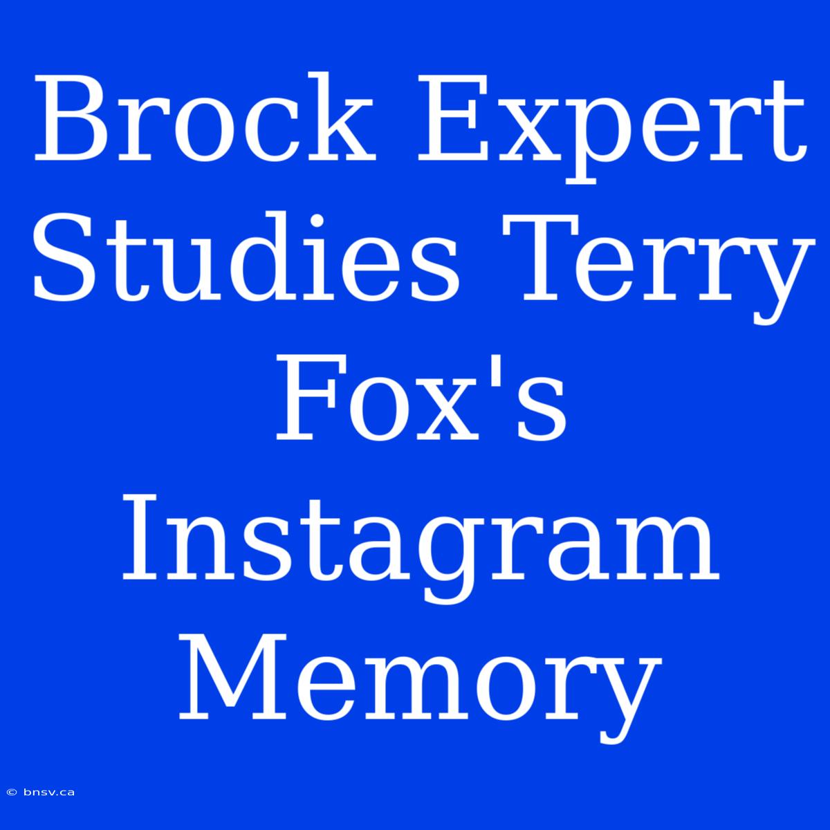 Brock Expert Studies Terry Fox's Instagram Memory