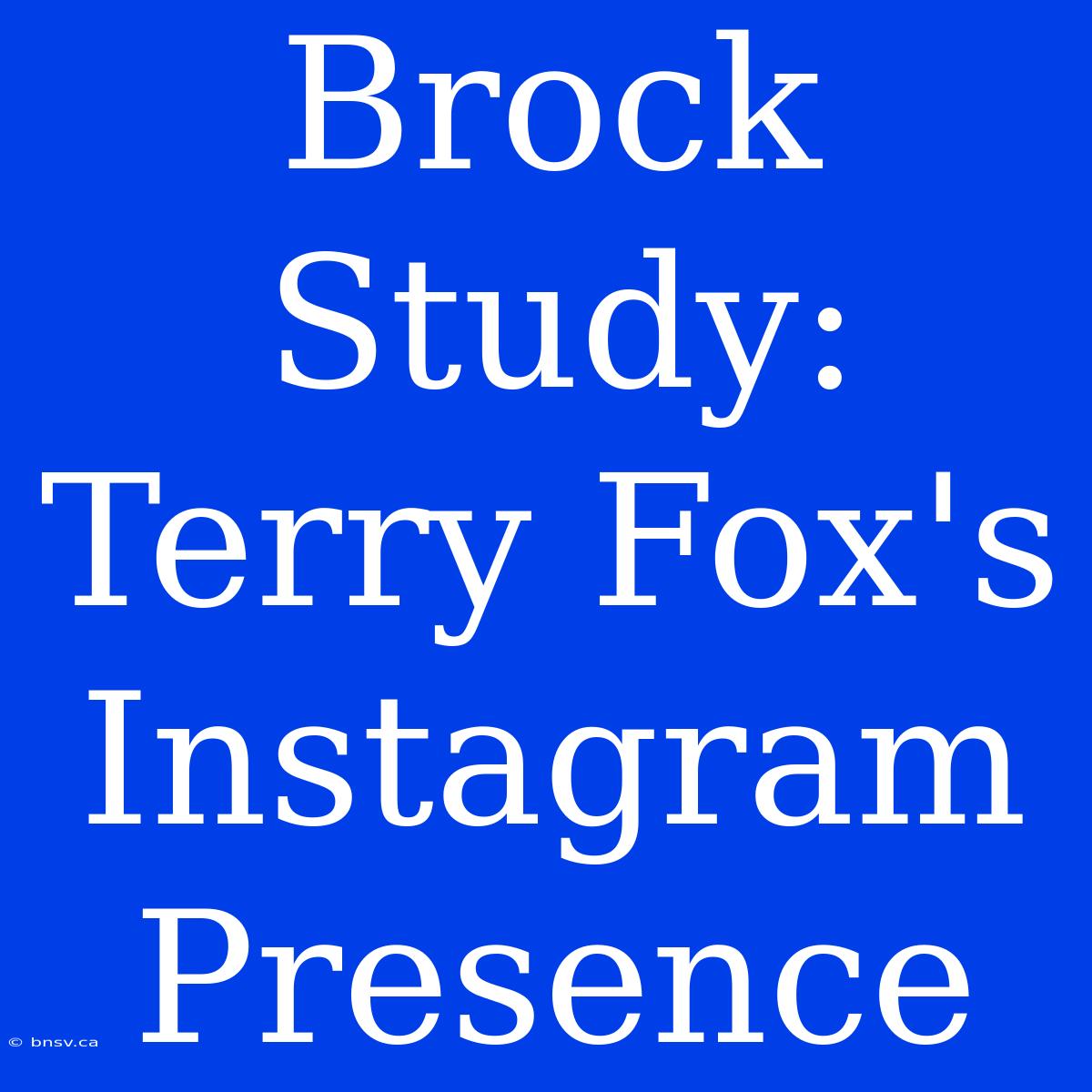 Brock Study: Terry Fox's Instagram Presence