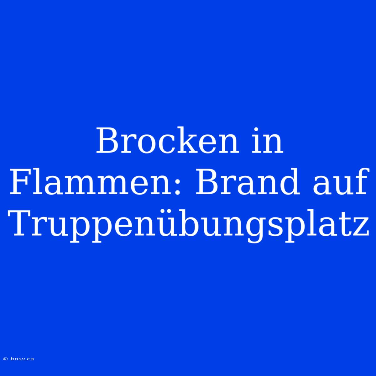 Brocken In Flammen: Brand Auf Truppenübungsplatz