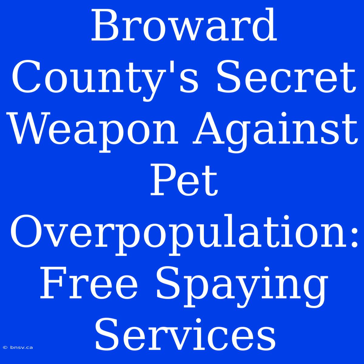 Broward County's Secret Weapon Against Pet Overpopulation: Free Spaying Services