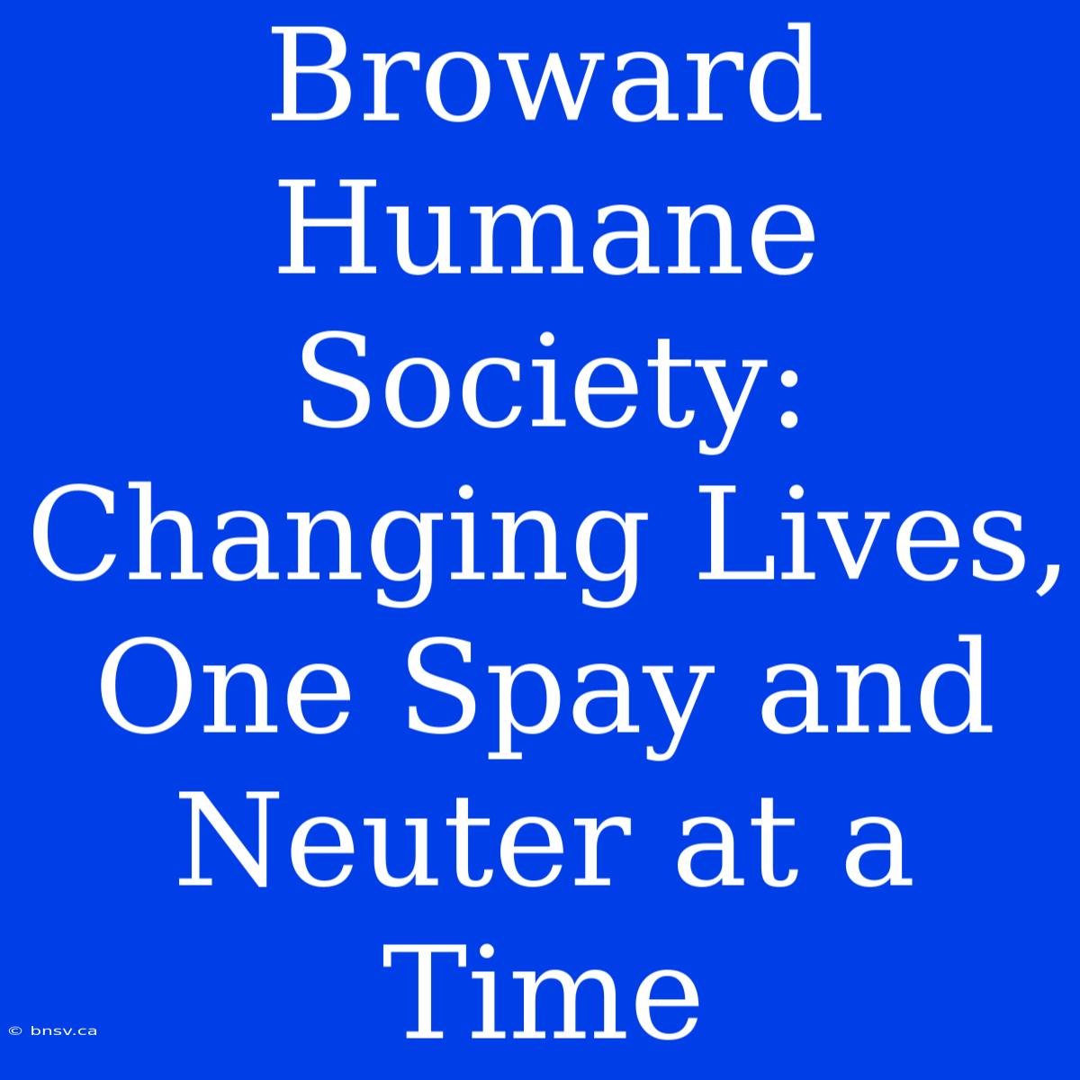 Broward Humane Society: Changing Lives, One Spay And Neuter At A Time