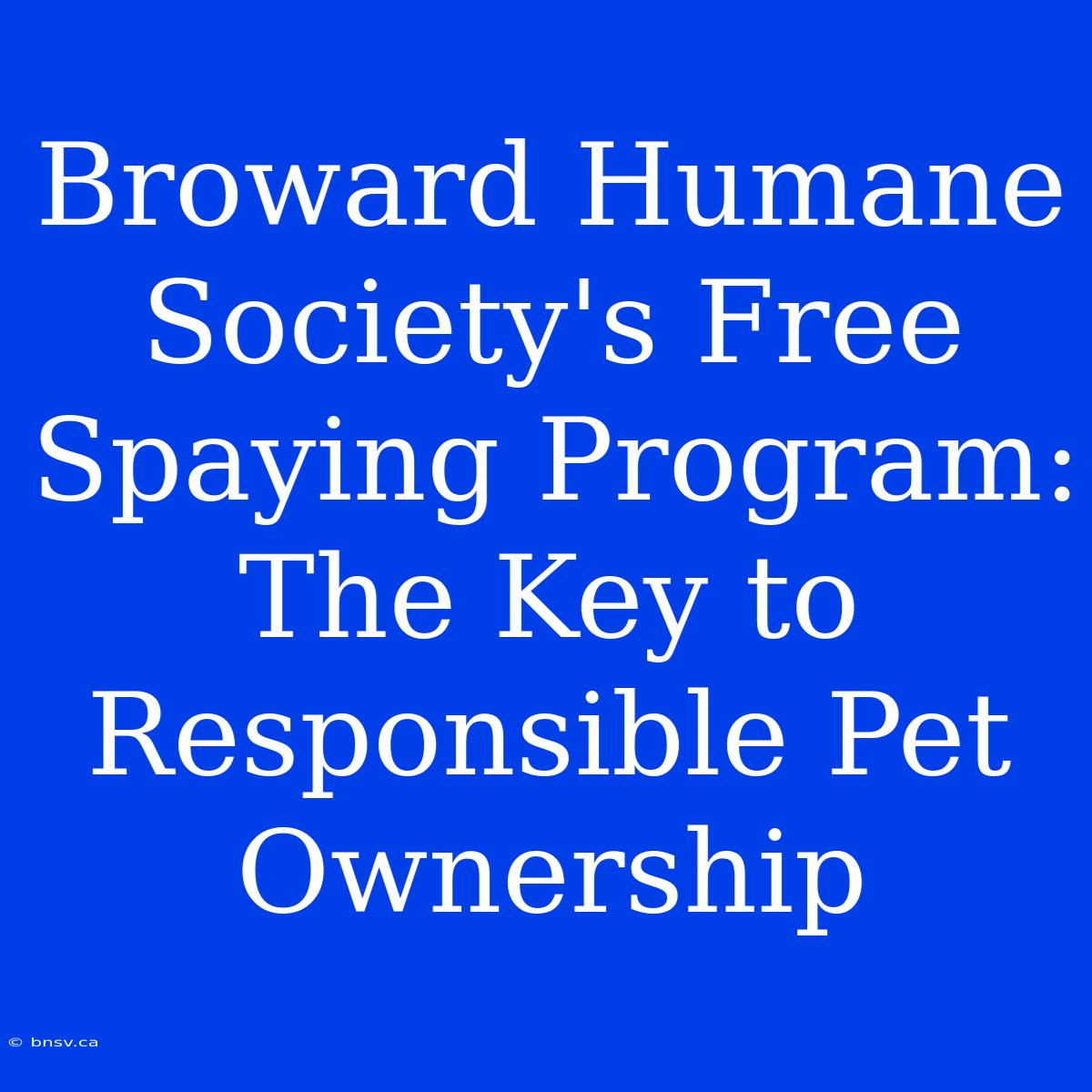 Broward Humane Society's Free Spaying Program: The Key To Responsible Pet Ownership