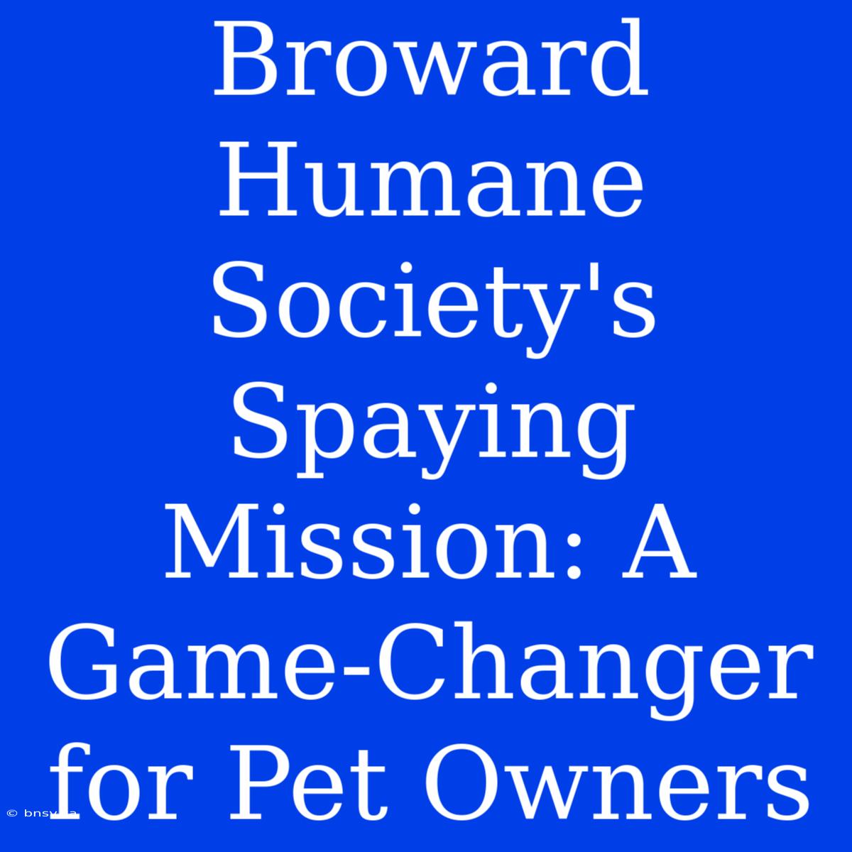 Broward Humane Society's Spaying Mission: A Game-Changer For Pet Owners