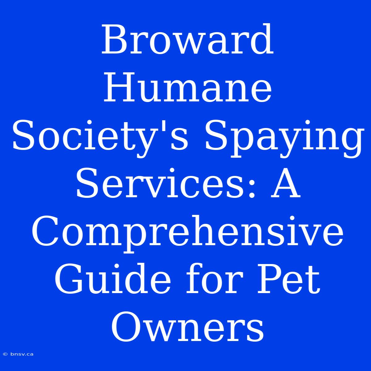 Broward Humane Society's Spaying Services: A Comprehensive Guide For Pet Owners