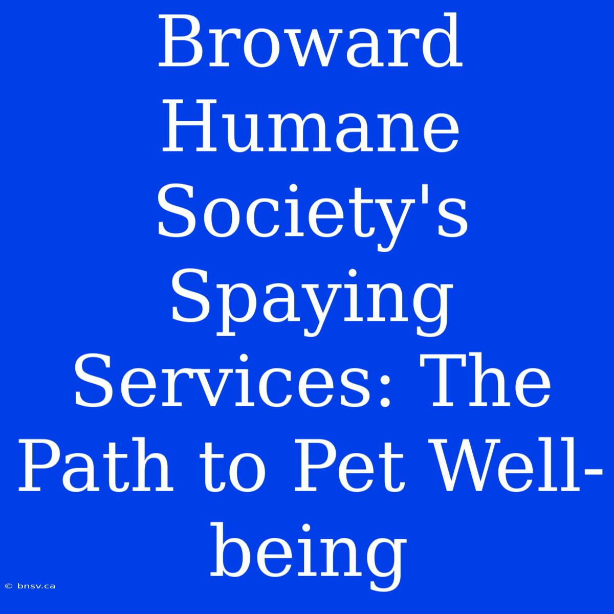 Broward Humane Society's Spaying Services: The Path To Pet Well-being