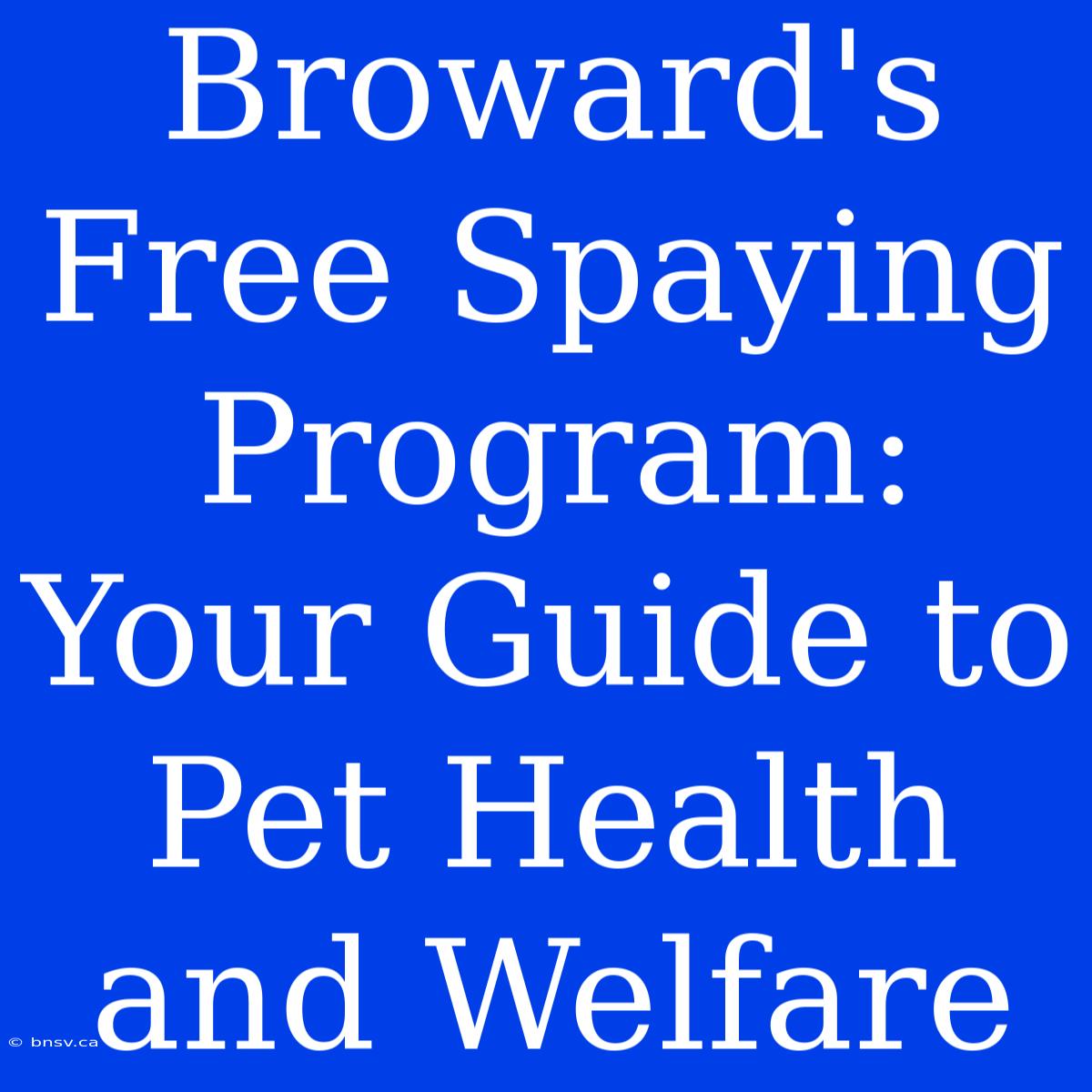 Broward's Free Spaying Program: Your Guide To Pet Health And Welfare