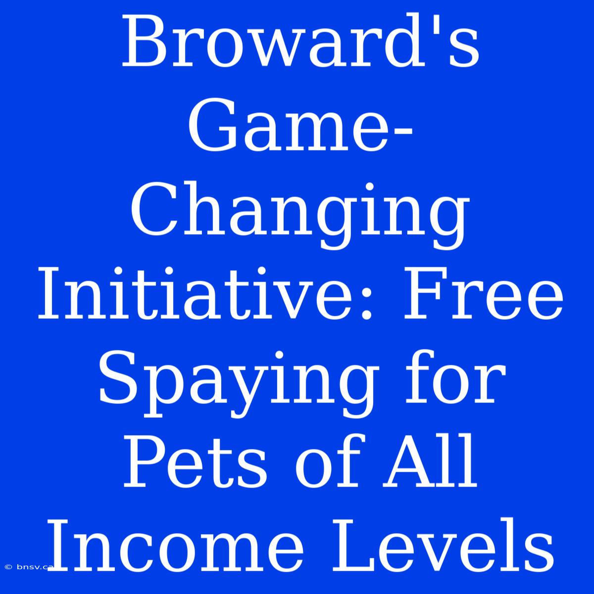 Broward's Game-Changing Initiative: Free Spaying For Pets Of All Income Levels