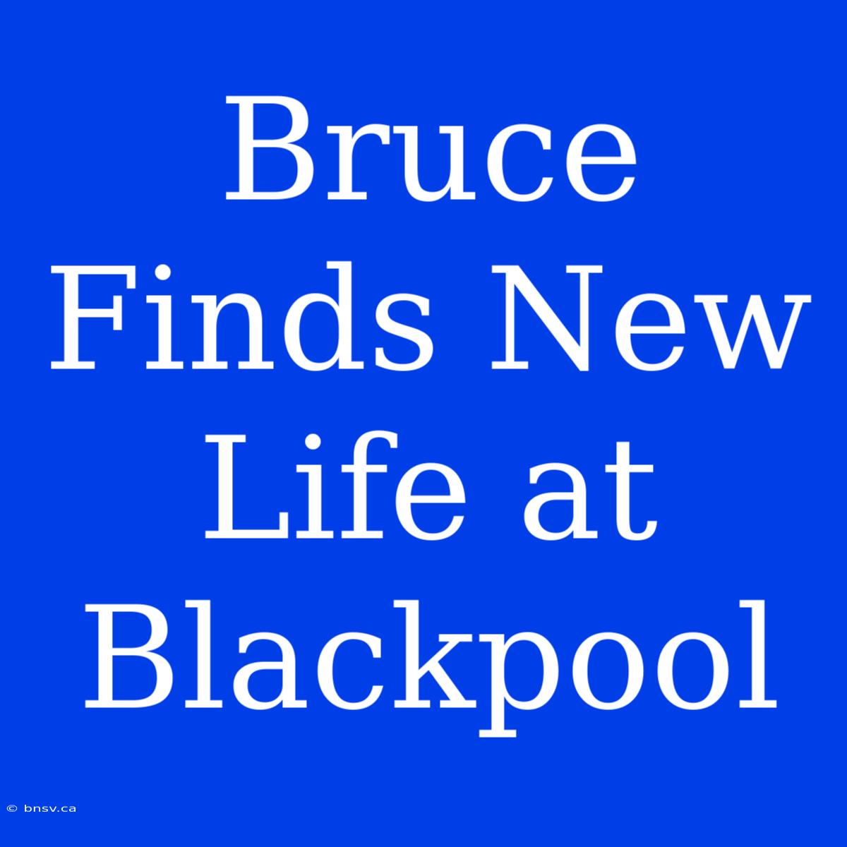 Bruce Finds New Life At Blackpool