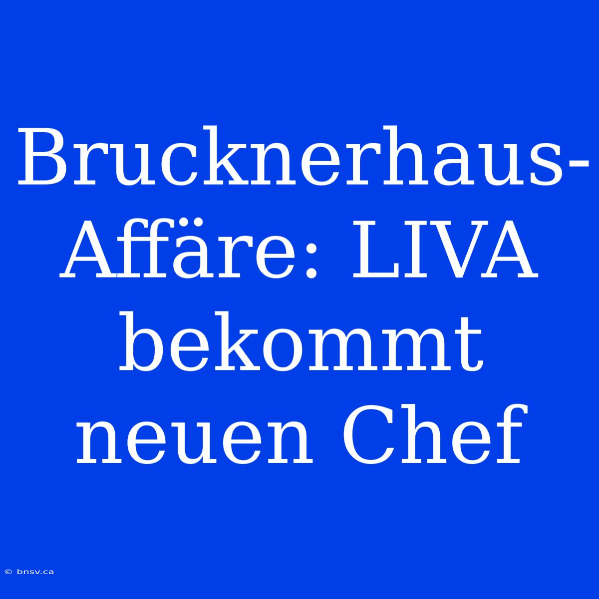 Brucknerhaus-Affäre: LIVA Bekommt Neuen Chef