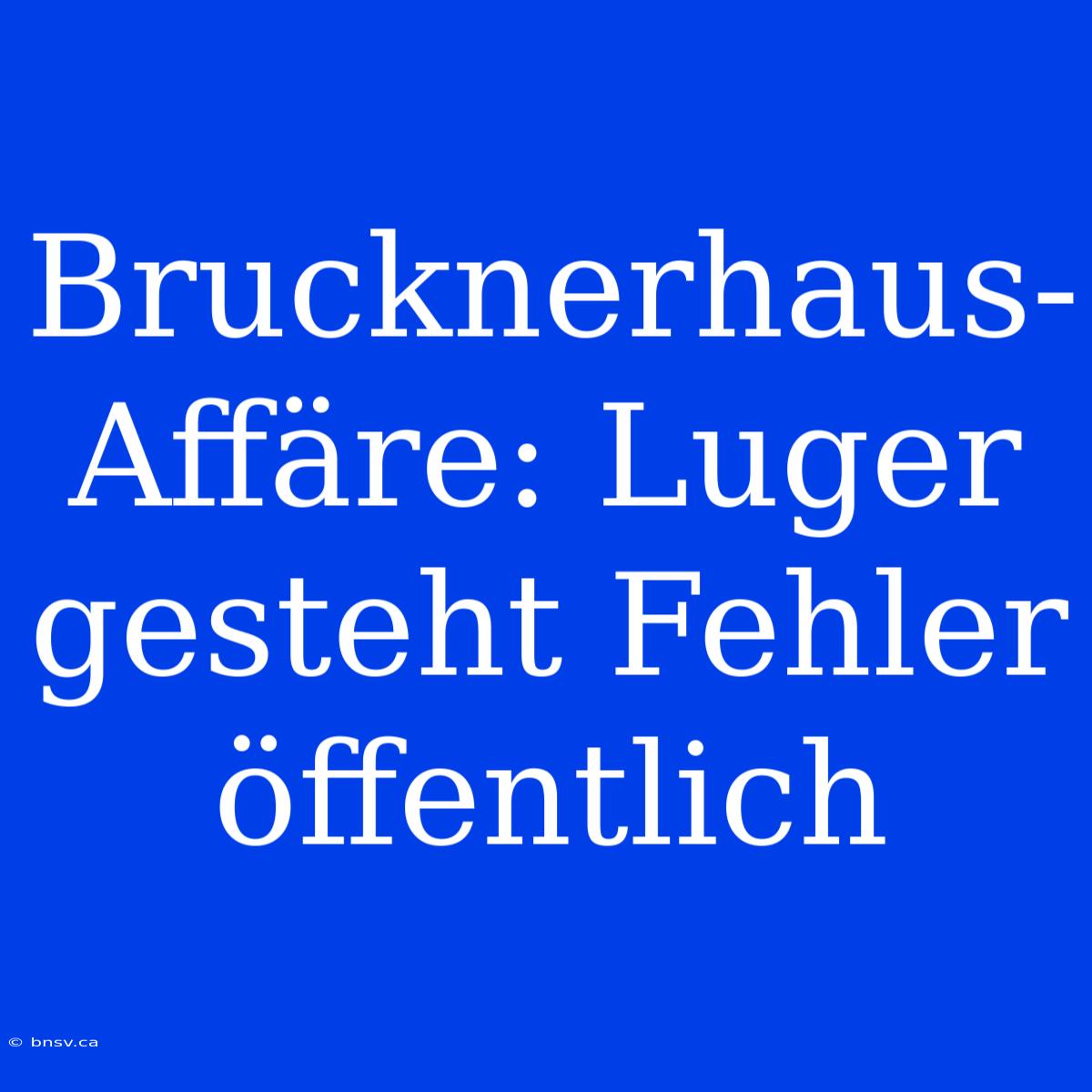 Brucknerhaus-Affäre: Luger Gesteht Fehler Öffentlich