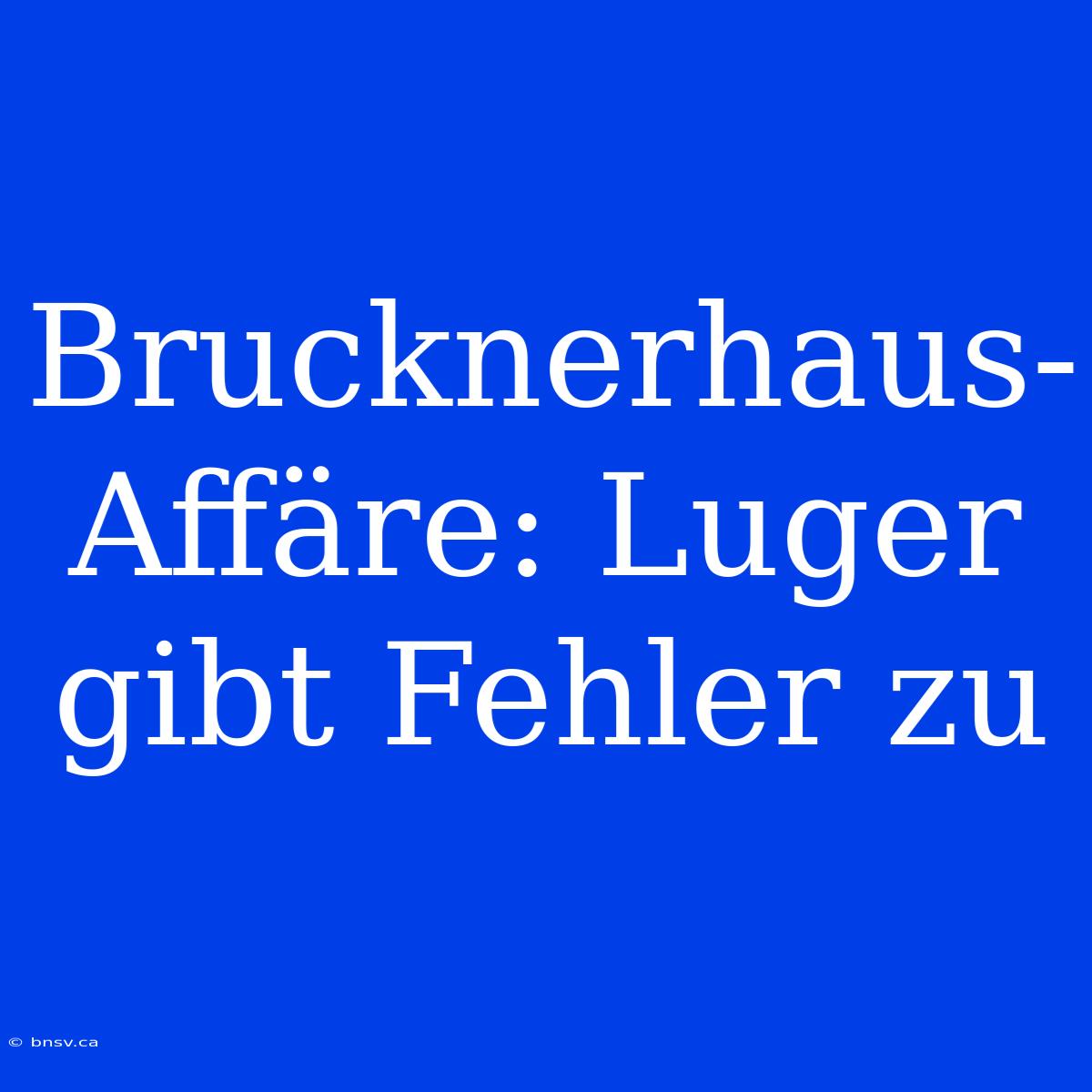 Brucknerhaus-Affäre: Luger Gibt Fehler Zu