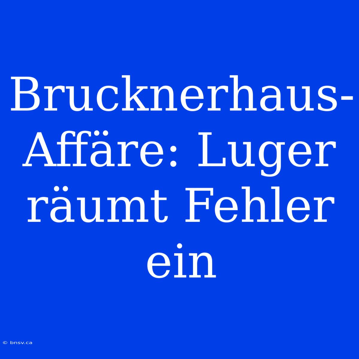 Brucknerhaus-Affäre: Luger Räumt Fehler Ein