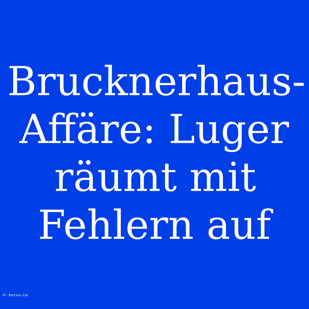 Brucknerhaus-Affäre: Luger Räumt Mit Fehlern Auf