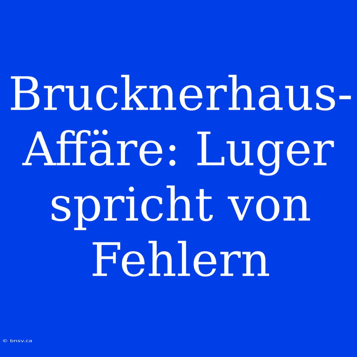 Brucknerhaus-Affäre: Luger Spricht Von Fehlern