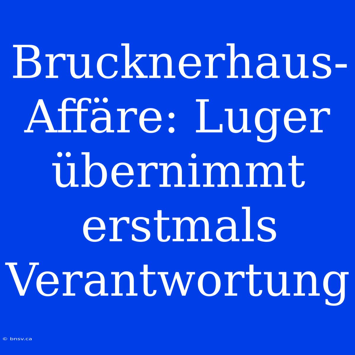 Brucknerhaus-Affäre: Luger Übernimmt Erstmals Verantwortung