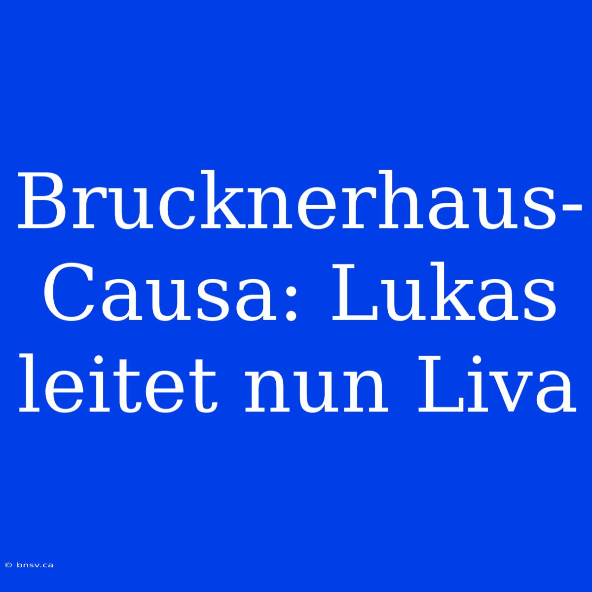 Brucknerhaus-Causa: Lukas Leitet Nun Liva