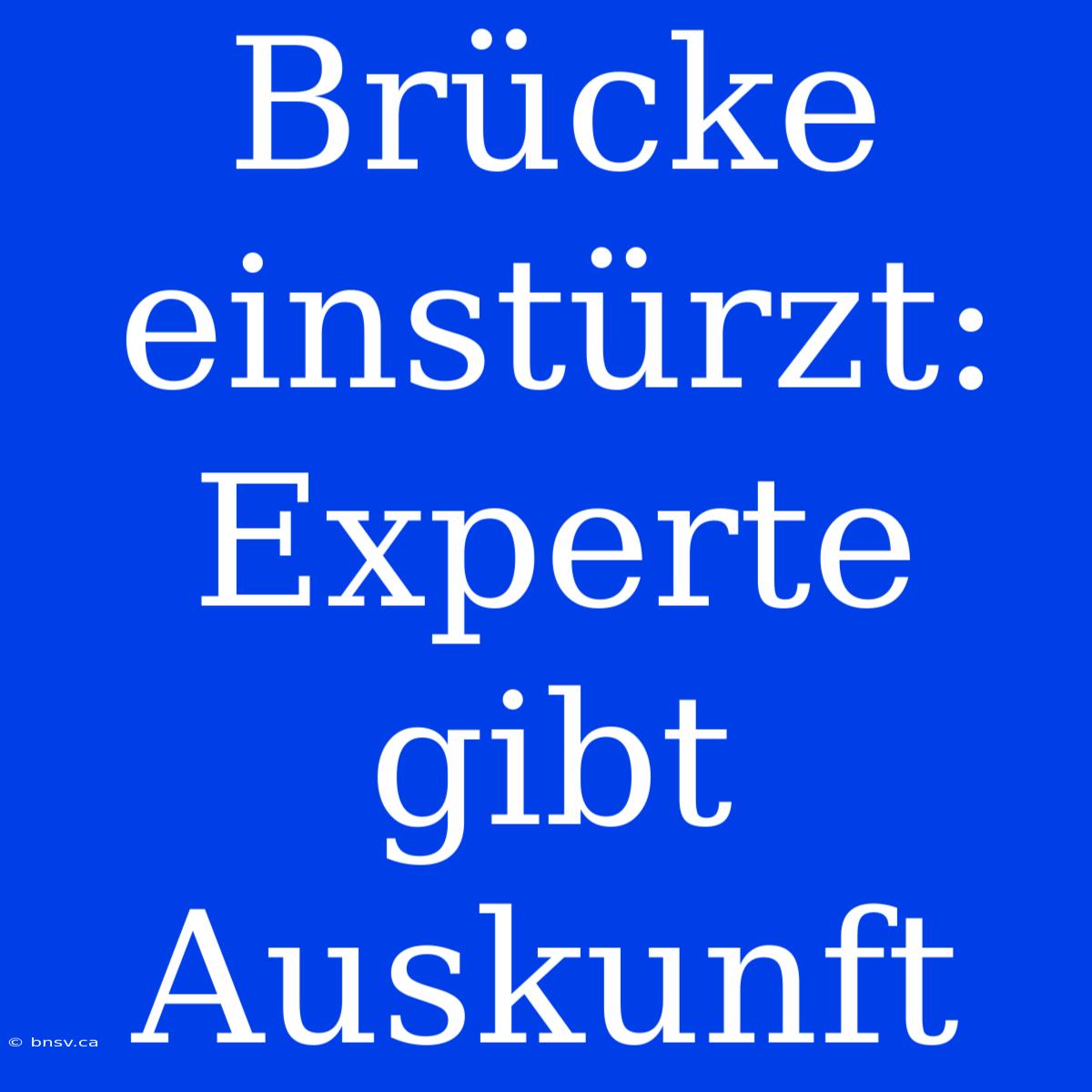 Brücke Einstürzt: Experte Gibt Auskunft