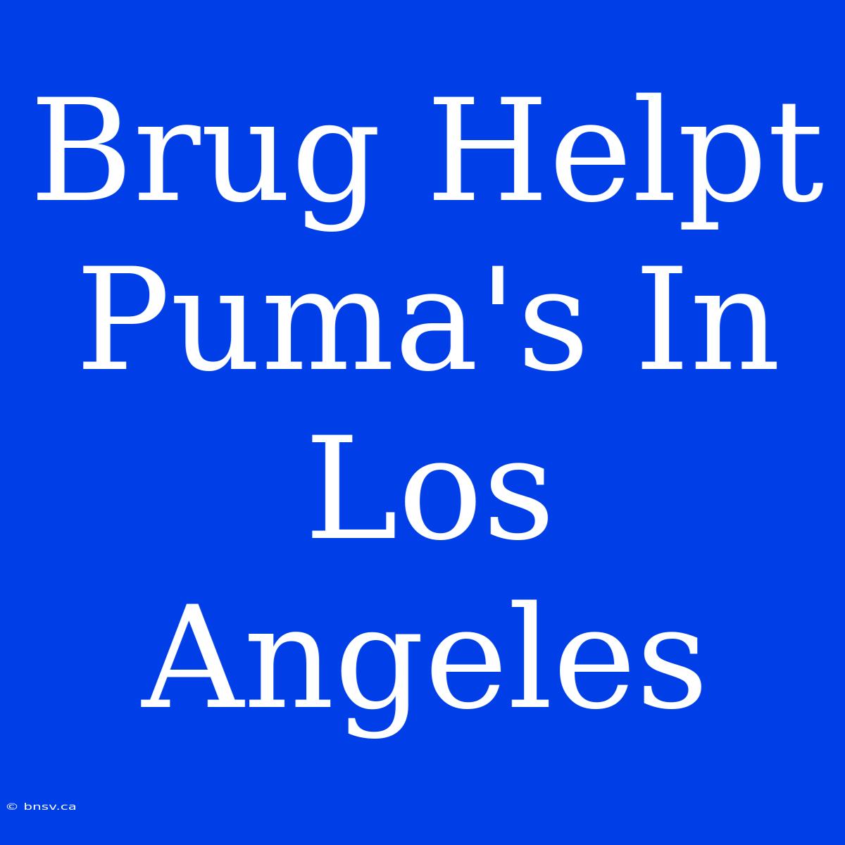 Brug Helpt Puma's In Los Angeles