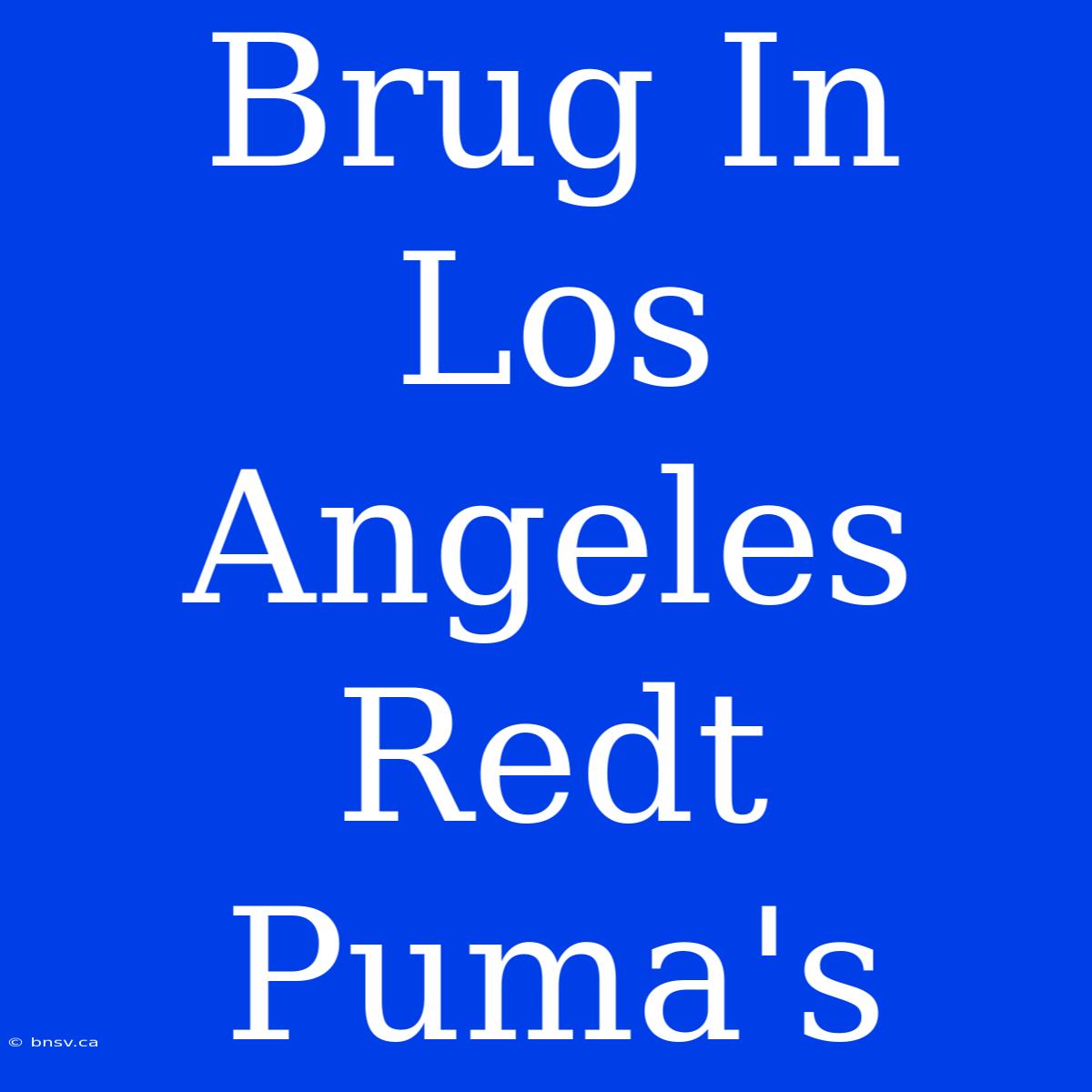 Brug In Los Angeles Redt Puma's