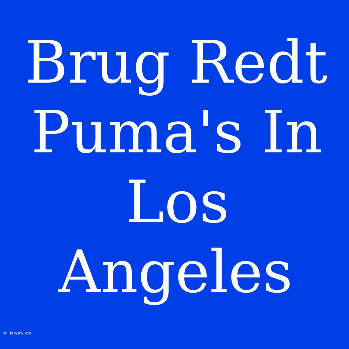 Brug Redt Puma's In Los Angeles