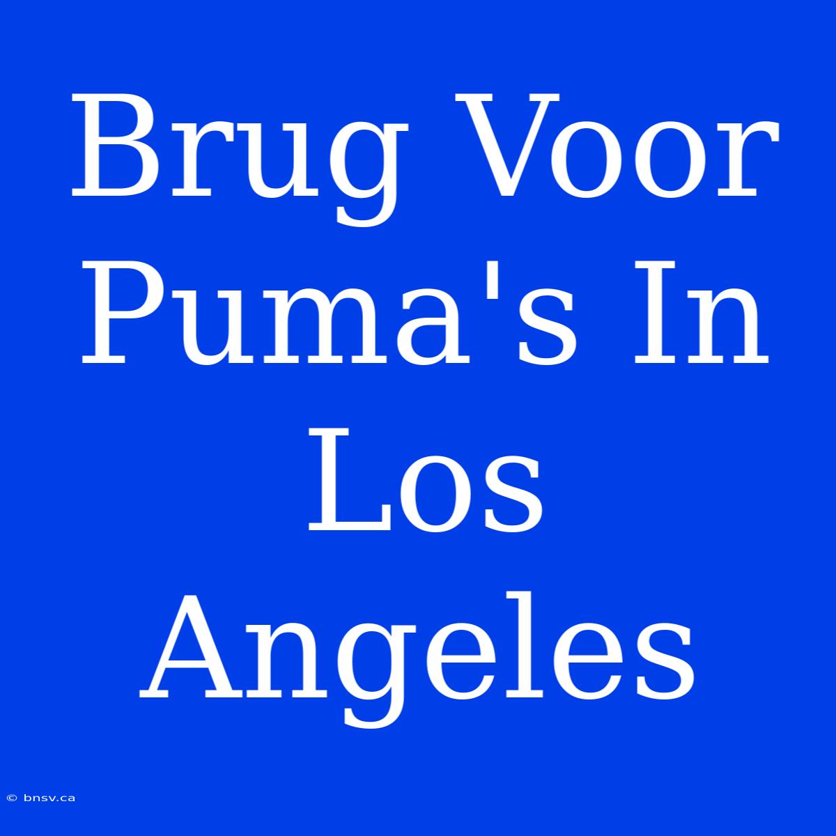 Brug Voor Puma's In Los Angeles